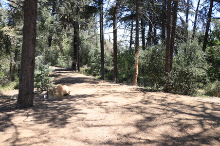 Enlarge photo 25