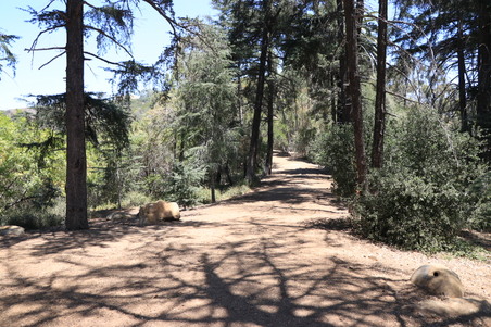 Enlarge photo 26