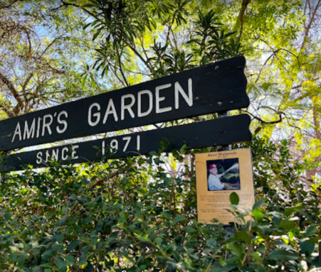 Amir's Garden