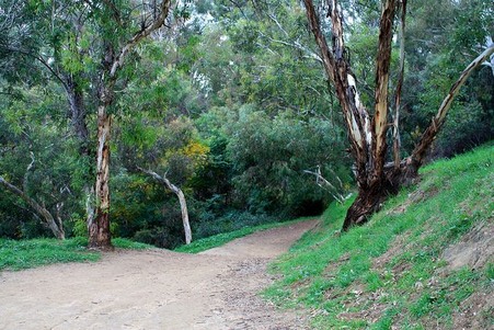 Elysian Park West