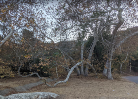 Enlarge photo 4