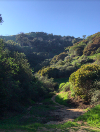 Enlarge photo 8