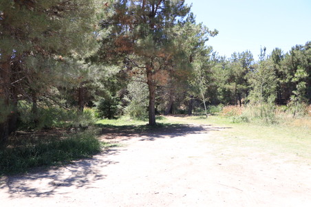 Golden Oaks/Disney Ranch