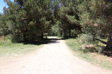 Enlarge photo 3