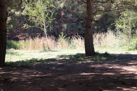 Enlarge photo 5