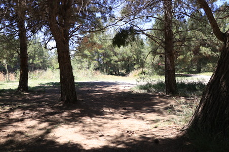 Enlarge photo 6