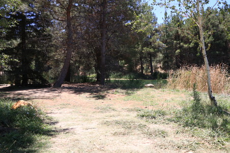 Enlarge photo 7