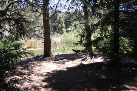 Enlarge photo 10
