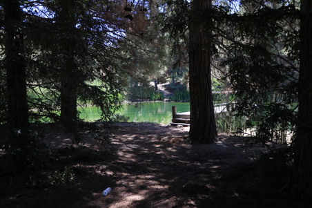 Enlarge photo 11