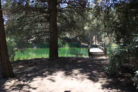 Enlarge photo 12