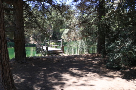 Enlarge photo 13