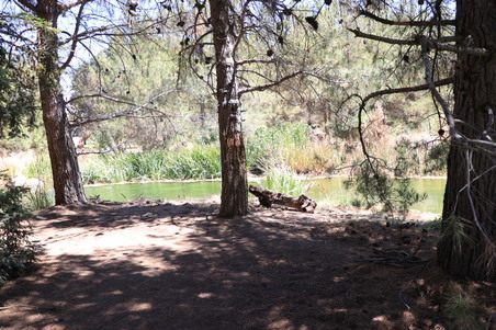 Enlarge photo 15