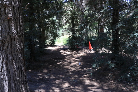 Enlarge photo 16