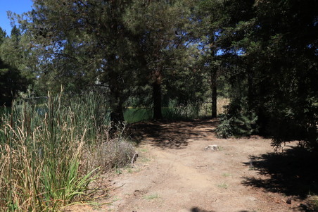 Enlarge photo 17