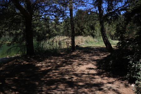 Enlarge photo 18