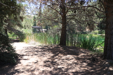 Enlarge photo 19