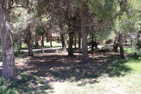 Enlarge photo 20