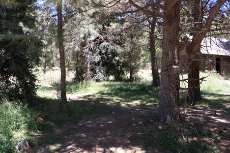 Enlarge photo 21