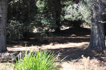 Enlarge photo 24