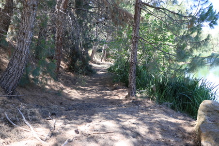Enlarge photo 25