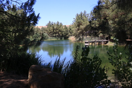 Enlarge photo 26