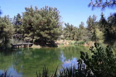 Enlarge photo 27