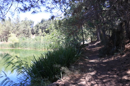 Enlarge photo 28