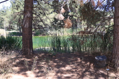 Enlarge photo 29