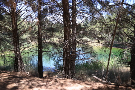 Enlarge photo 31