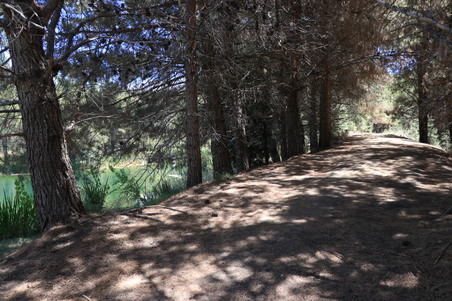 Enlarge photo 32