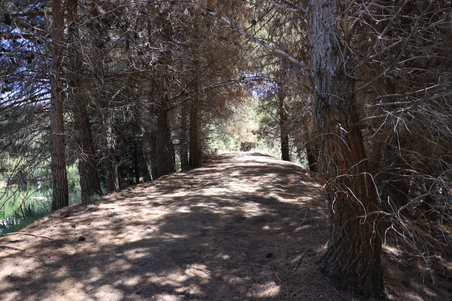 Enlarge photo 33