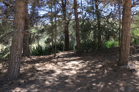 Enlarge photo 34