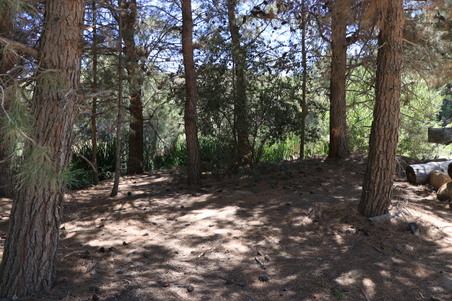 Enlarge photo 35