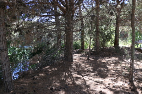 Enlarge photo 36