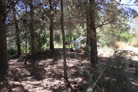 Enlarge photo 37