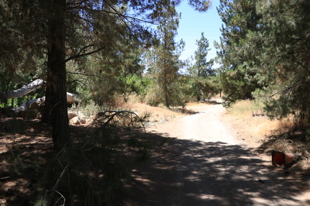 Enlarge photo 38