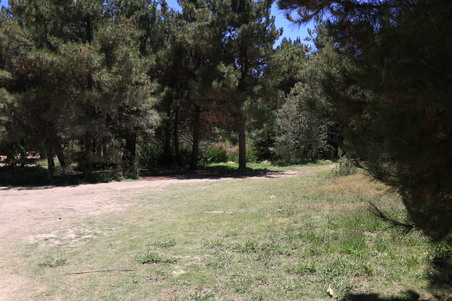 Enlarge photo 39