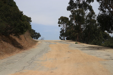 Road near Cedar Grove