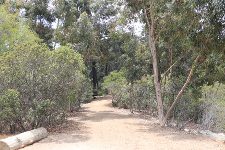 Enlarge photo 4