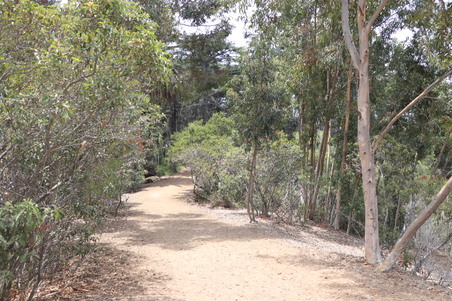 Enlarge photo 5
