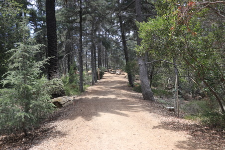 Enlarge photo 8