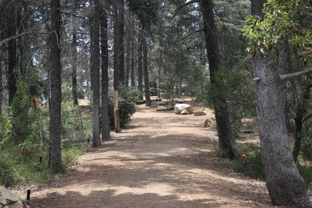 Enlarge photo 9