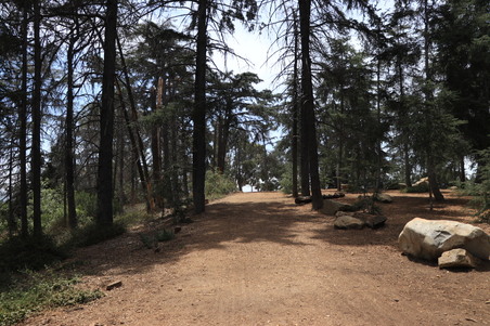 Enlarge photo 13