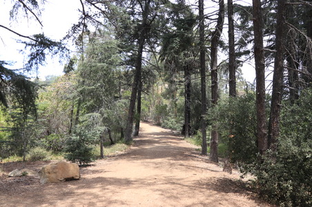 Enlarge photo 11