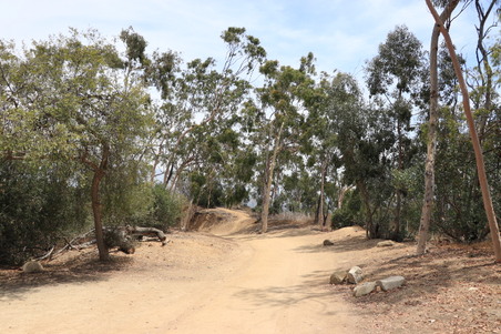 Enlarge photo 15