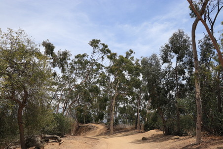 Enlarge photo 19
