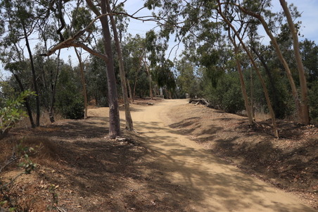 Enlarge photo 23