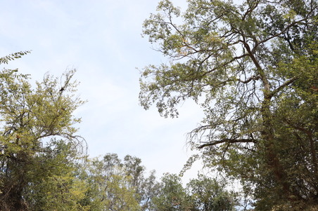 Enlarge photo 27