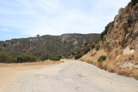 Enlarge photo 31