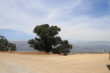 Enlarge photo 34